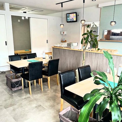 iroha �C���n