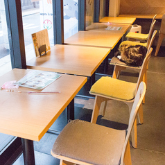 Cat&Animal Cafe Noah s Ark ノアズアーク 京都水族館前店の雰囲気1