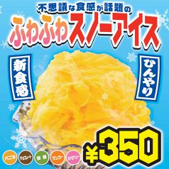 【期間限定】ふわふわ！スノーアイス