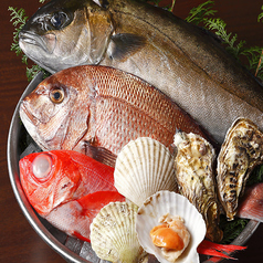 個室居酒屋 今日ワ魚 上野店の写真