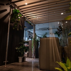 TRIBE Top Terrace うえの水たばこの特集写真