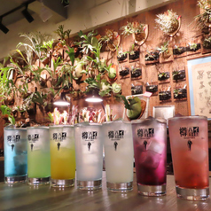 RAINBOW SMILE レインボースマイルのコース写真