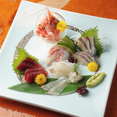 日本酒・焼酎で★こだわり鮮魚の刺身！三種盛りやおまかせ盛り等ございます！