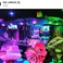 BAR SakuRaの画像