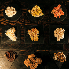 Mr.Mushroom 名古屋駅店特集写真1