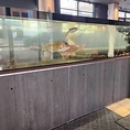 生簀で泳ぐ魚やエビをご覧いただけます。