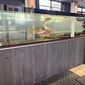 生簀で泳ぐ魚やエビをご覧いただけます。