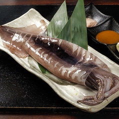 青森県産 豪快!スルメイカ一本焼き