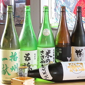 姫路の魚酒場 三士 -sanji-の雰囲気3