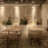 TOLAH UMEDA トーラの写真