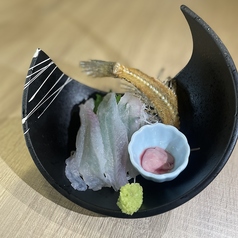 今が旬!夏ハゼのお刺身