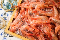 北海道海鮮 個室居酒屋 うおっと 魚人 札幌駅北口店の特集写真