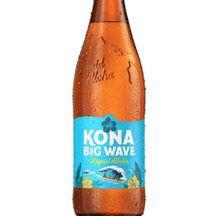 コナビッグウェーブ