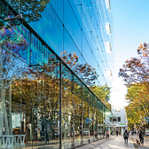世界的な建築家、伊東豊雄氏のデザインによるカフェ