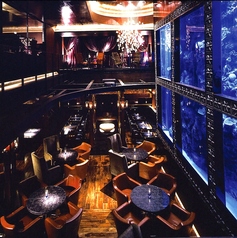 AQUA RESTAURANT&BAR LUXIS ラグシス特集写真1