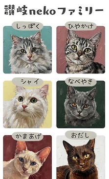 讃岐nekoの雰囲気1