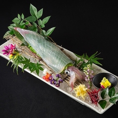 いけすと炭と薪焼と 博多 とりとりとのコース写真