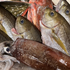 内容は日々変わります!「鮮魚特急便」メニューをご覧ください!鮮魚おすすめ商品 418円~