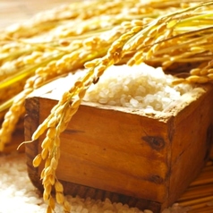 契約農家直送！ごはん食べ放題付き！