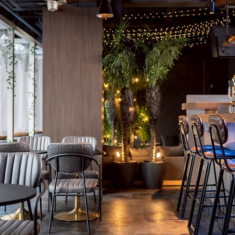 Star Rist X^[Xg ~cV_X