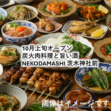 NEKODAMASHI ネコダマシ 茨木神社前のおすすめ料理1