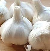 “にんにくへのこだわり”　契約農家から直接仕入れております。追加のお野菜でにんにくは無料です。その他にんにくを引き立てるためのダシ、手作りゆずごしょうも無料で追加しております。