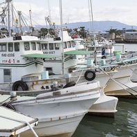 地元漁港や市場、漁師さんから直接仕入れています