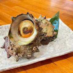 芥屋産サザエ 2ヶ