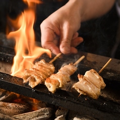 本場九州の博多地鶏焼き鳥を炭火でこだわった逸品