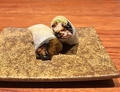 料理メニュー写真&nbsp;鶏せせりクレープ巻き(1本)