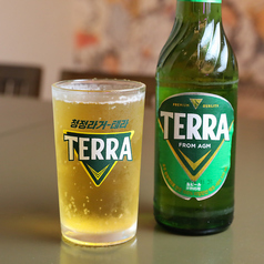韓国ビールTERRA