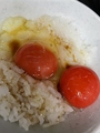 料理メニュー写真&nbsp;黄身が濃厚な卵かけごはん