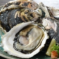料理メニュー写真&nbsp;岩牡蠣