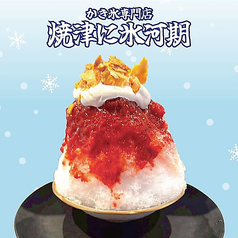【7月4日NEW OPEN】昼はかき氷専門店“焼津に氷河期”