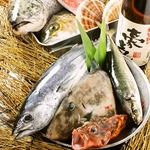 毎日仕入れた瀬戸内の鮮魚の数々！だから、鮮度・美味しさは抜群！※播州の魚屋と提携