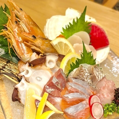 鮮魚5種盛り合わせ(1人前)