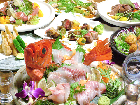 瀬戸内産の鮮魚が堪能できる贅沢なコースも多数ご用意♪