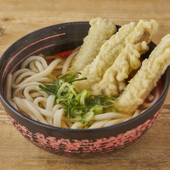 博多ゴボウ天うどん