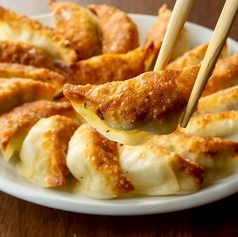 羽付き円盤餃子 10ヶ