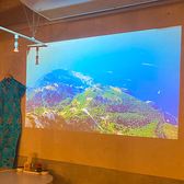 プロジェクター完備。USB、ミラーリング、DVDに対応できます。