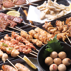 旋花の特集写真