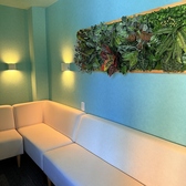 BLUE TERRACE 恵比寿店 シーシャ&ドッグカフェバーの雰囲気2