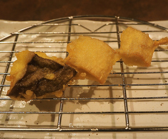 【13本目】エリンギ