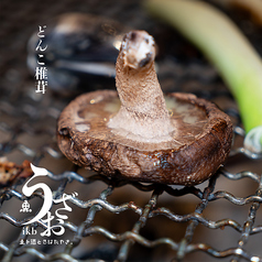 どんこ椎茸