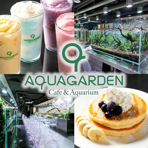 韓国で大人気のアクアリウムカフェが日本初上陸！綺麗な水槽を眺めながら一息♪