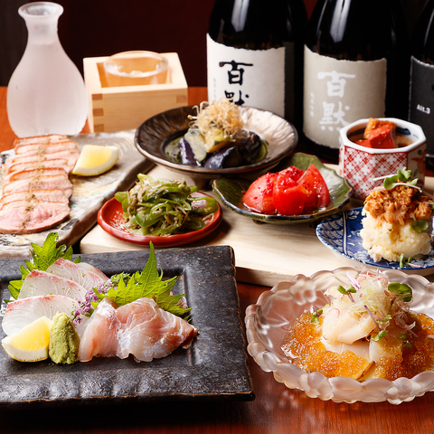 【河原町駅6分】◆居酒屋以上/割烹未満◆普段使いできる、ちょっと上質な和のひととき