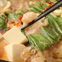 焼鳥酒場 みどるとんのコース写真