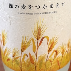 裸の麦をつかまえて