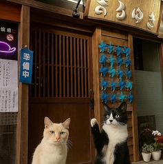 居酒屋まるゆきの外観1