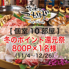 創作居酒屋 空木のこかげ